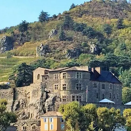 - La Cachette Du Marquis